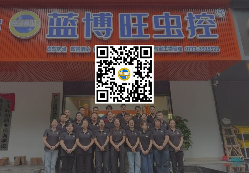 餐饮蟑螂 “杀不完”？根源 + 综合治理方案全解析