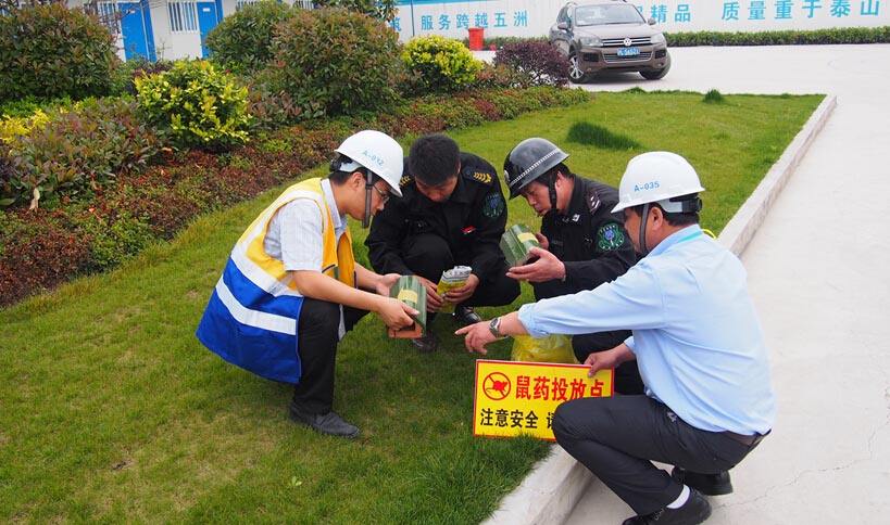 为什么慢性灭鼠药要比急性灭鼠药好？