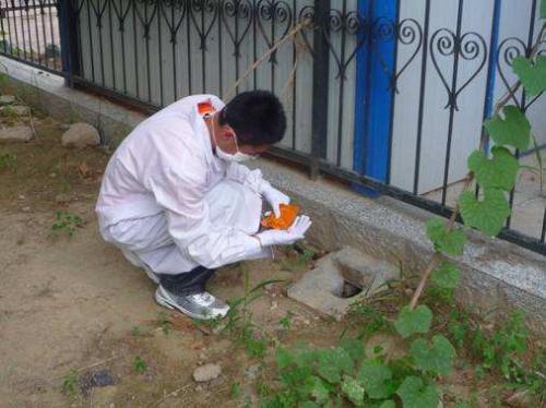 教你遇到白蚁该如何去处理，处理的方法有那些？