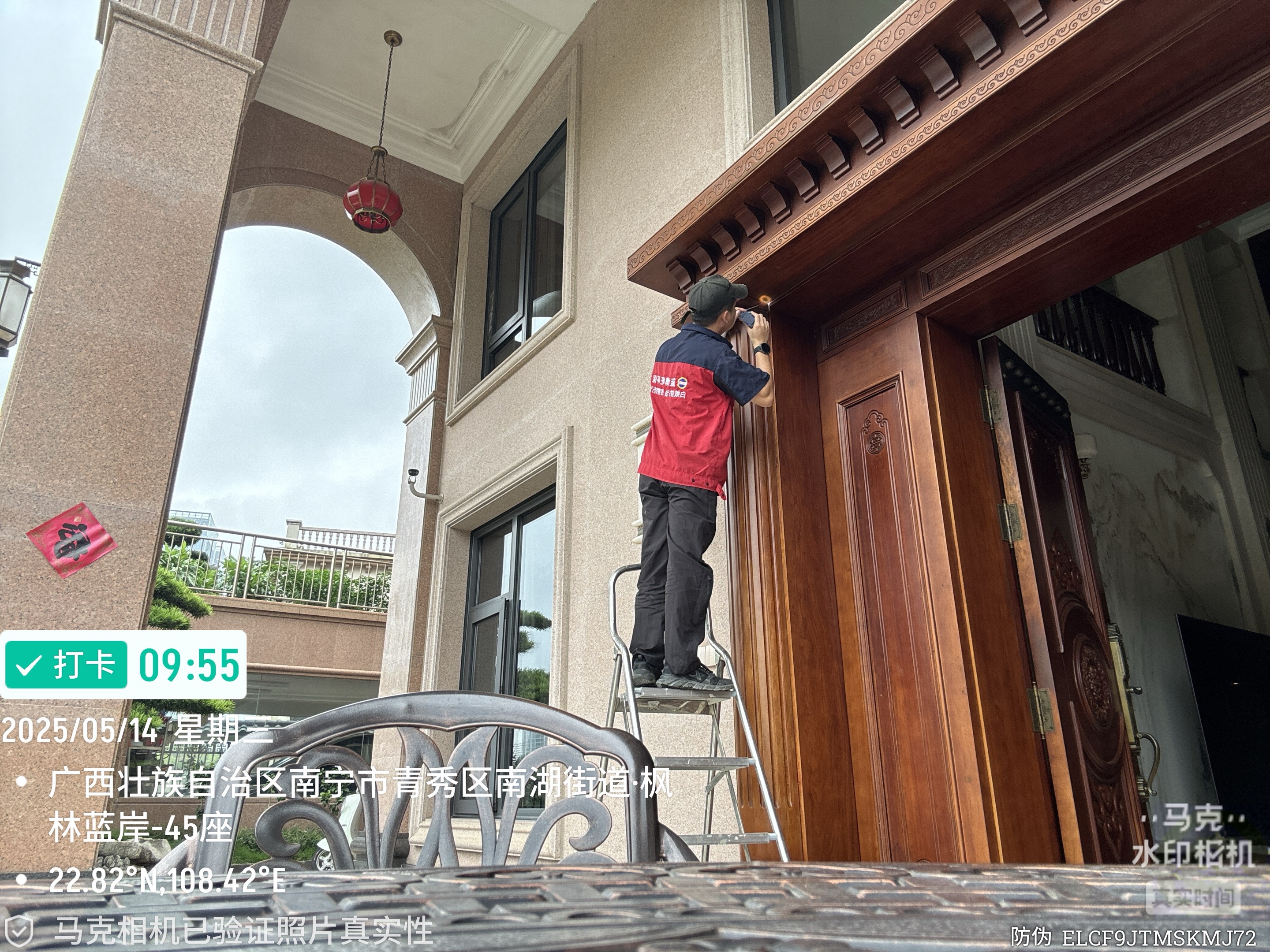 如何杀老鼠？杀老鼠的快速方法