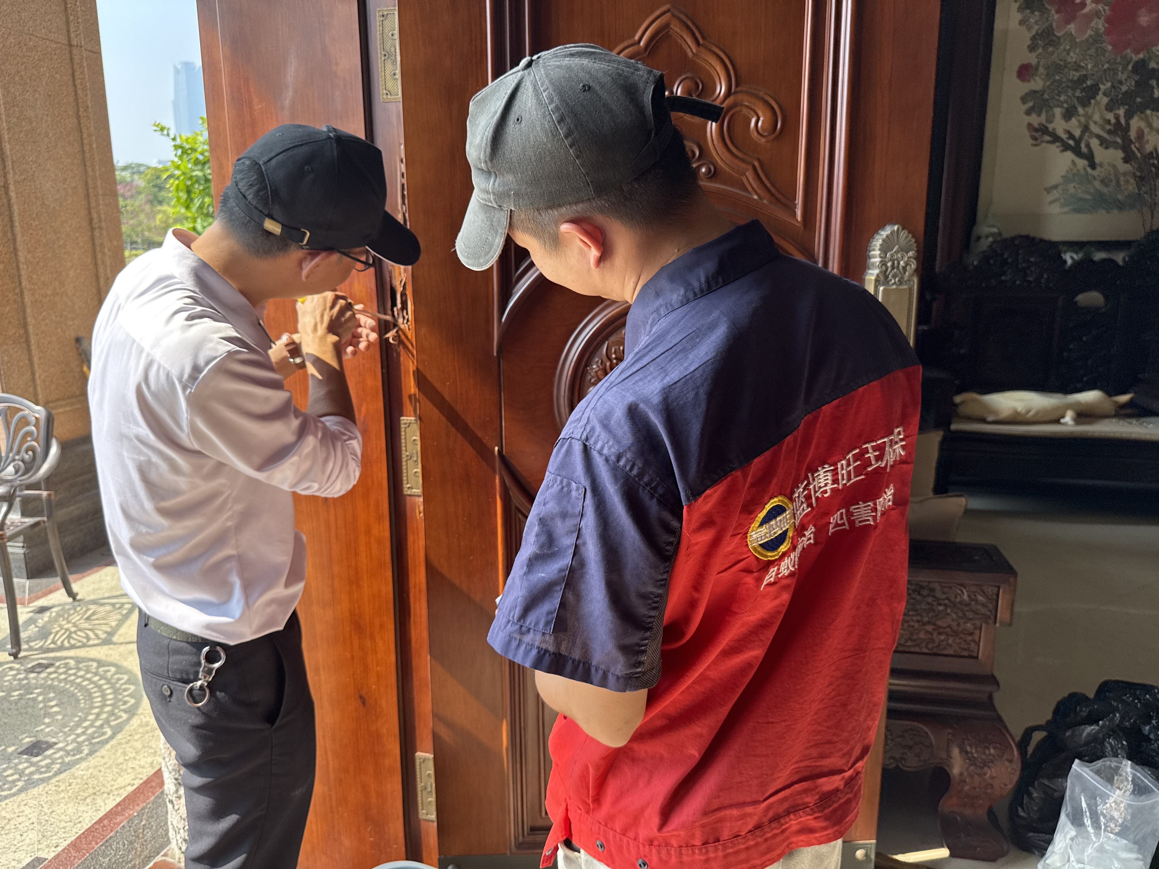 对付老鼠的十三种方法