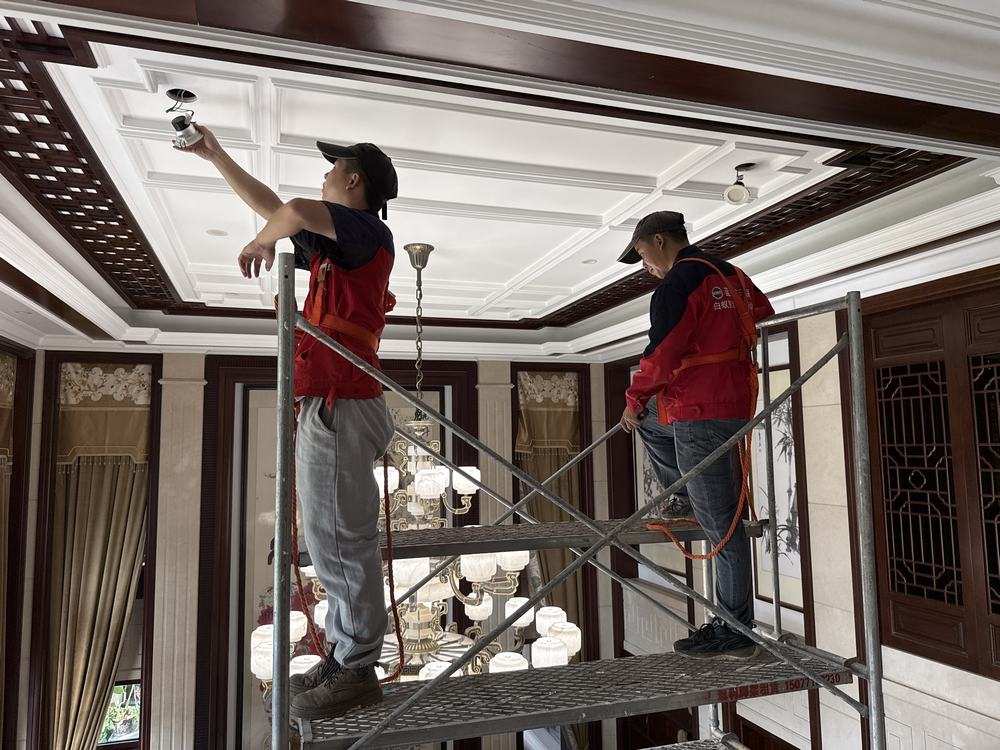 别墅白蚁防治_房屋白蚁防治