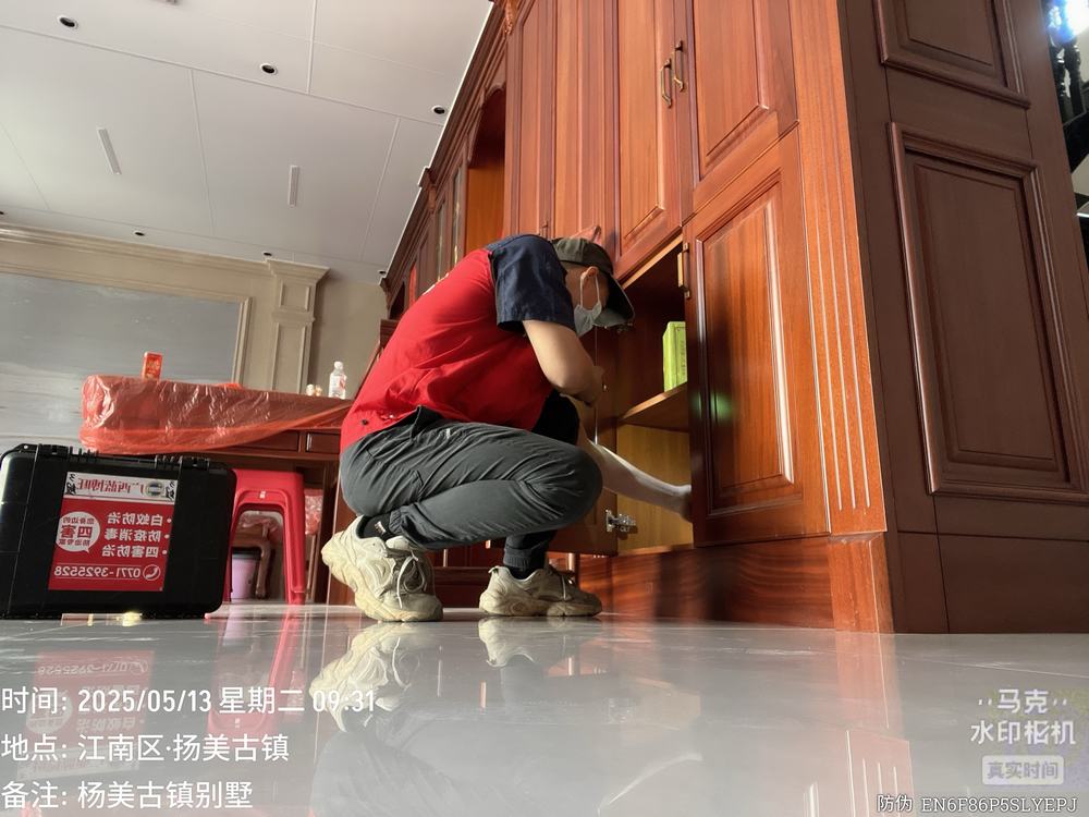 别墅白蚁防治_房屋白蚁防治