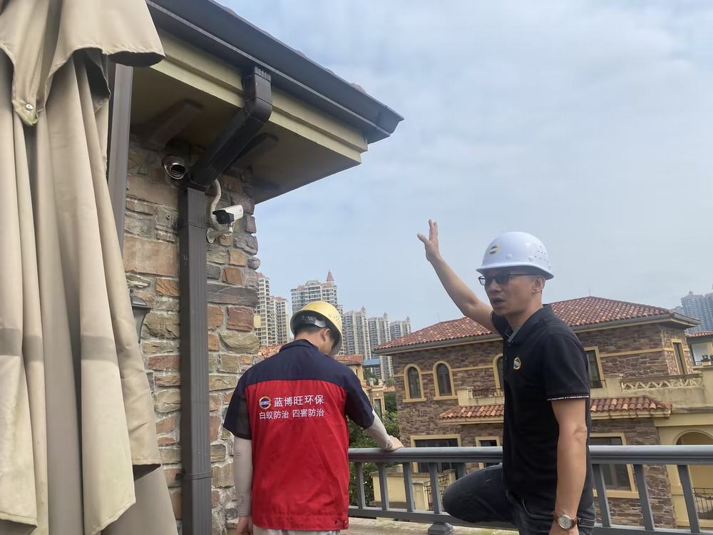 别墅白蚁防治_房屋白蚁防治