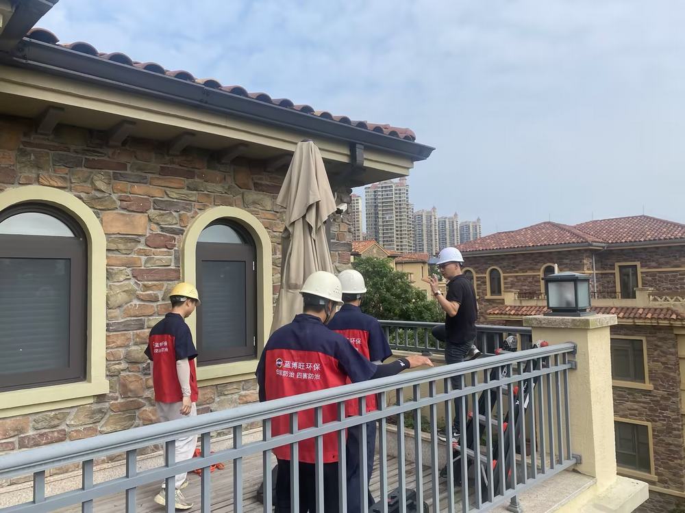 别墅白蚁防治_房屋白蚁防治