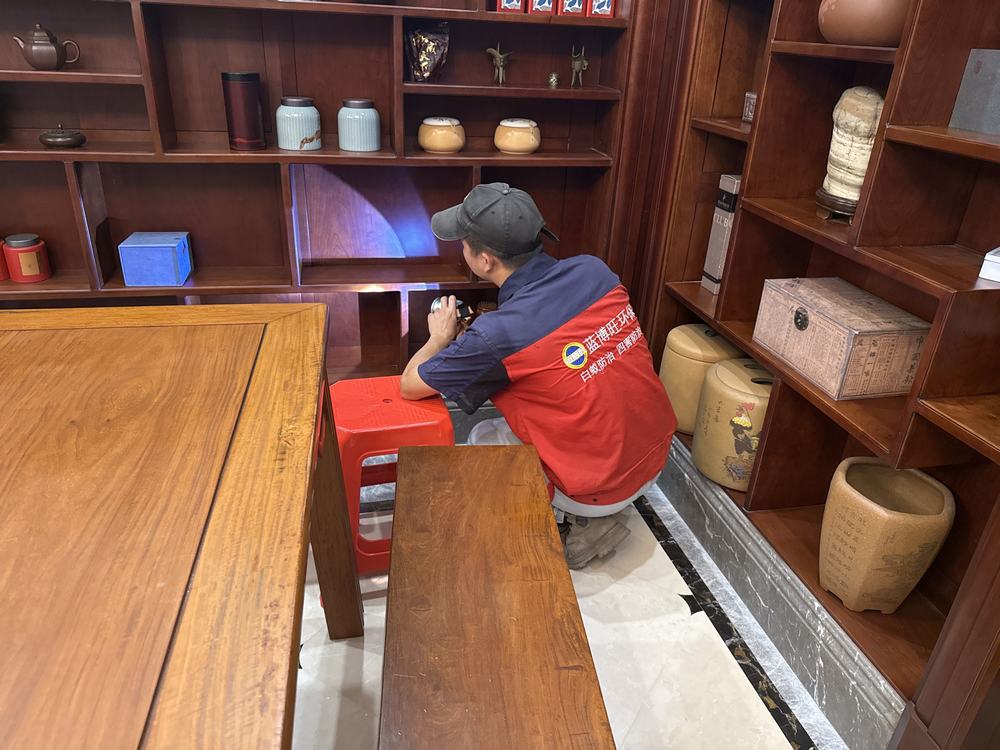 别墅白蚁防治_房屋白蚁防治