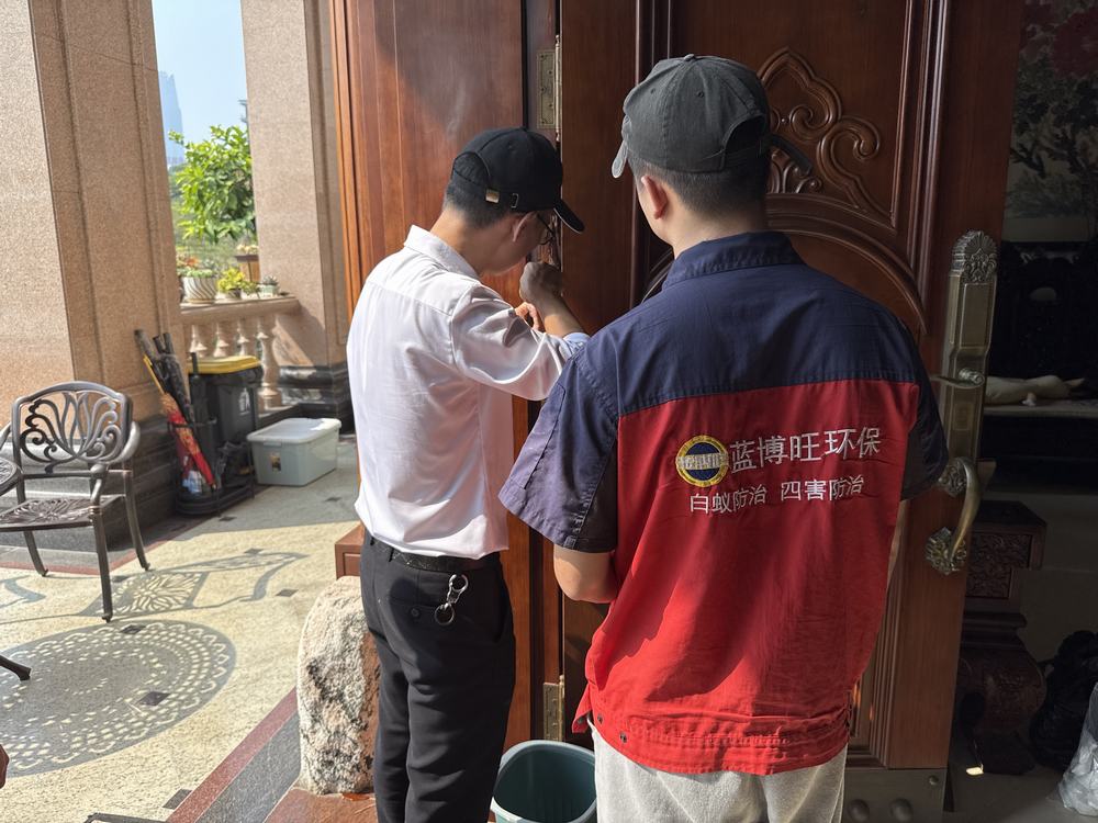 别墅白蚁防治_房屋白蚁防治