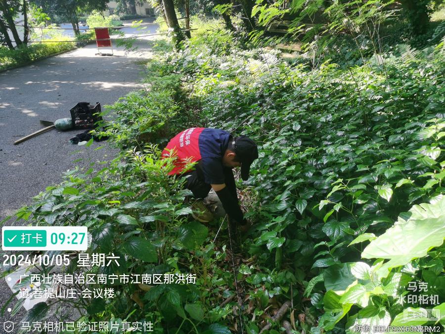 小区园林防蛇作业