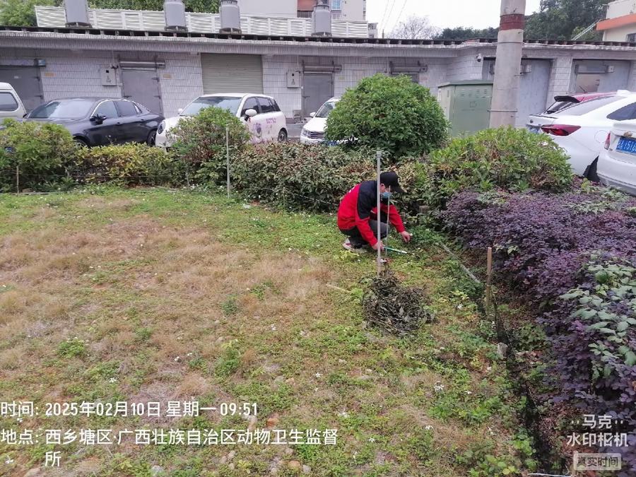 小区园林防蛇作业