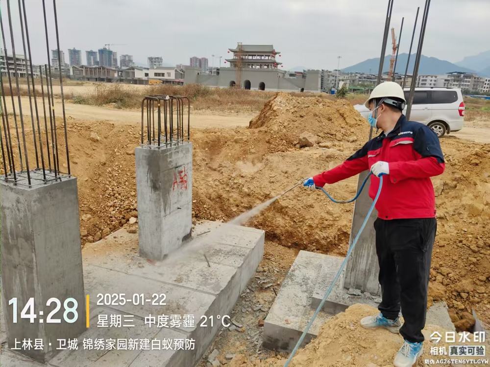 新建房白蚁预防