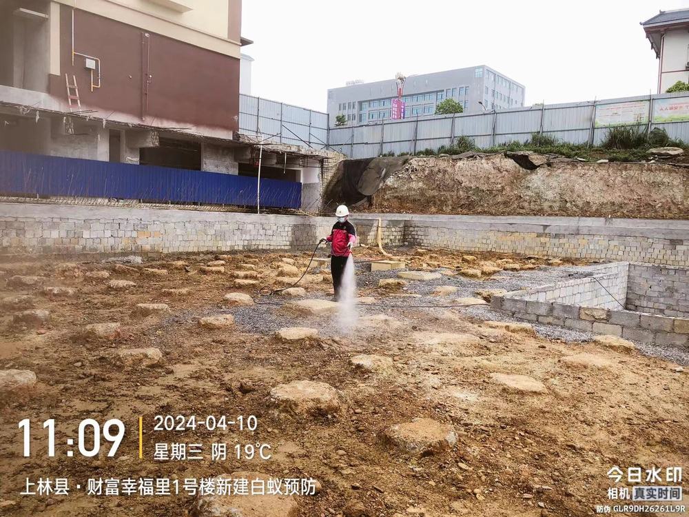 新建房白蚁预防