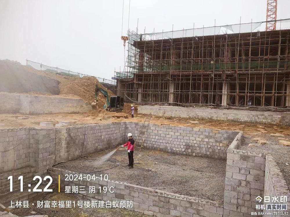 新建房白蚁预防