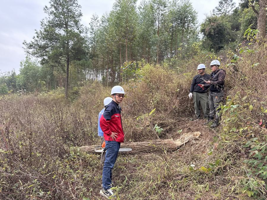 林业有害生物防治