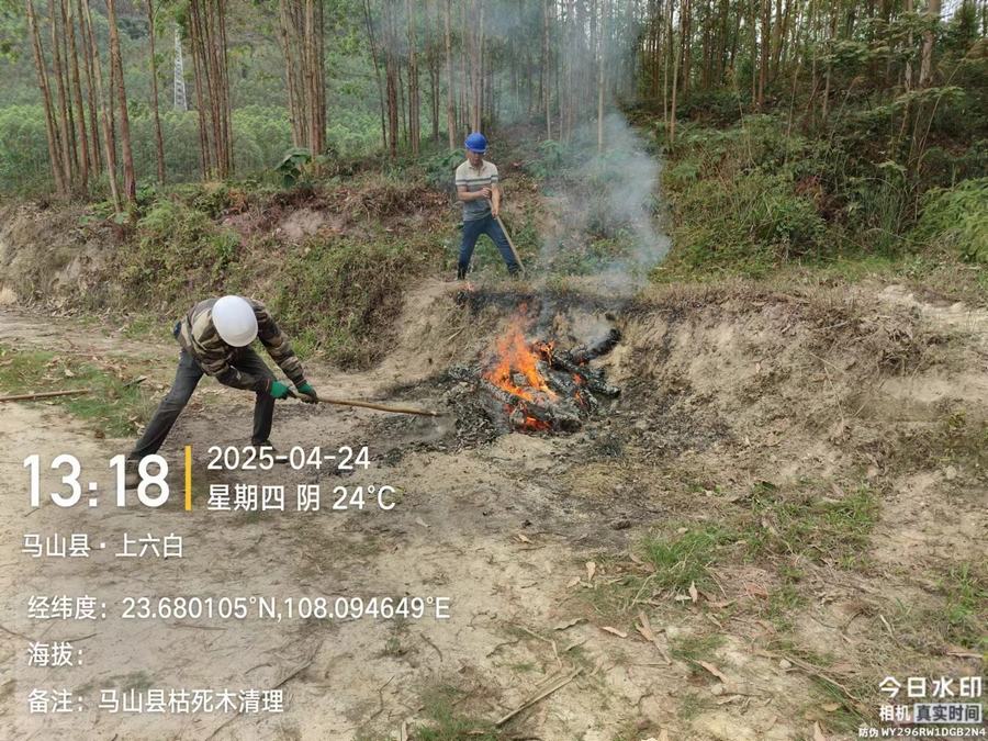 林业有害生物防治