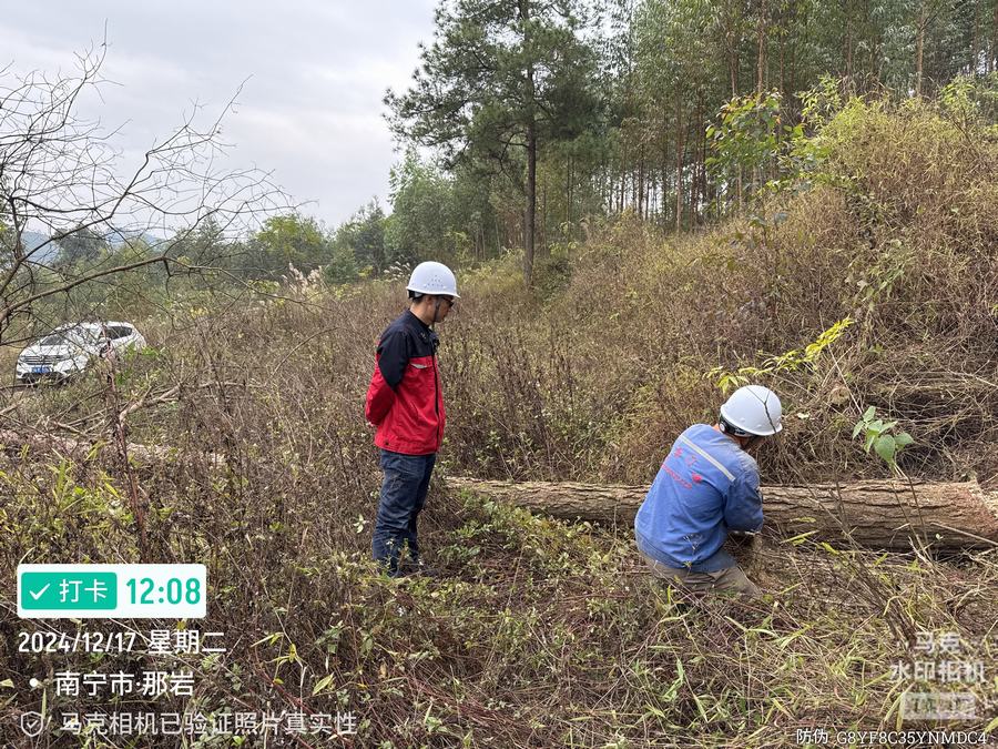 林业有害生物防治