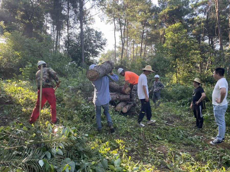 林业有害生物防治