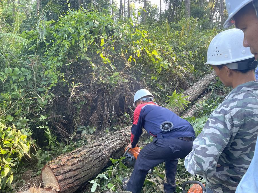 林业有害生物防治