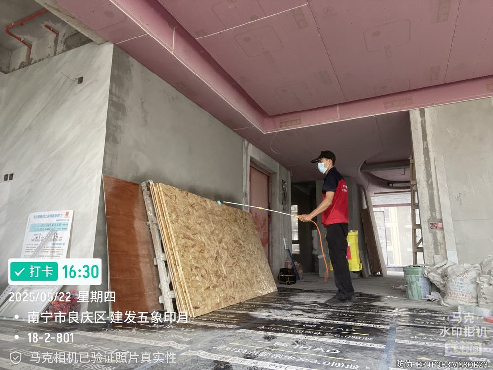 装修房屋白蚁预防