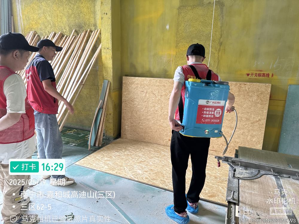 装修房屋白蚁预防